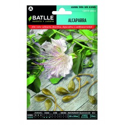 Alcaparra - tapenera (semillas) | El Huerto Deitana ®