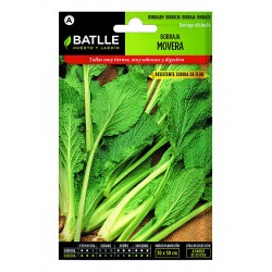 copy of SEMILLAS G-PEPINO ASHLEY