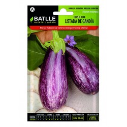 S-EGGPLANT LISTED FROM GANDIA BTLL
