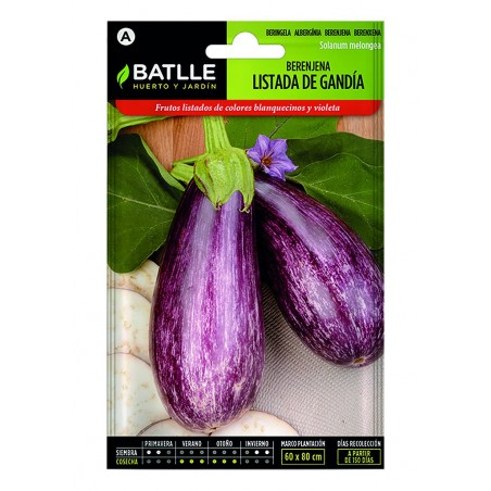 S-EGGPLANT LISTED FROM GANDIA BTLL