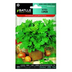 copy of SEMILLAS G-PEPINO ASHLEY