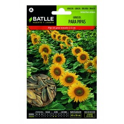 Girasol Para Pipas | El Huerto Deitana ®