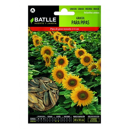Girasol Para Pipas | El Huerto Deitana ®