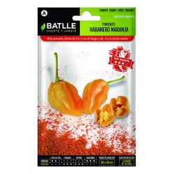 ORANGE HABANERO PEPPER