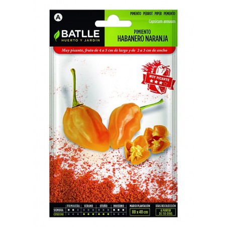 ORANGE HABANERO PEPPER