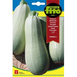 copy of SEMILLAS G-PEPINO ASHLEY