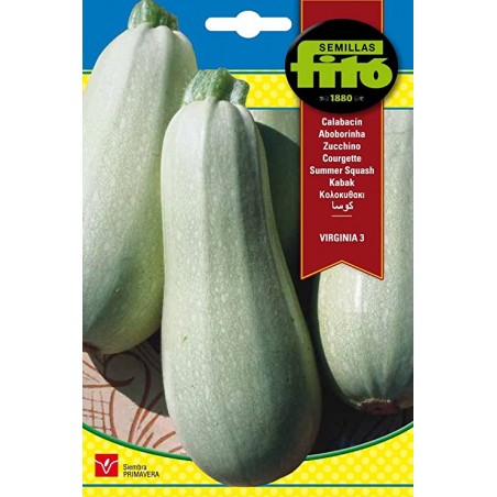 Calabacín Virginia (Semillas) | El Huerto Deitana ®