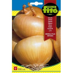 copy of SEMILLAS G-PEPINO ASHLEY