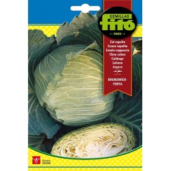 copy of SEMILLAS G-PEPINO ASHLEY