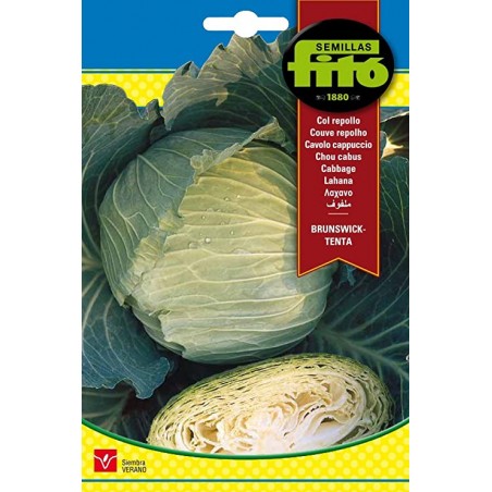 Col Repollo Brunswick (Semillas) | El Huerto Deitana ®