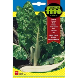 Acelga Verde Penca (Semillas) | El Huerto Deitana ® Acelga Verde Penca (Semillas) | El Huerto Deitana ®