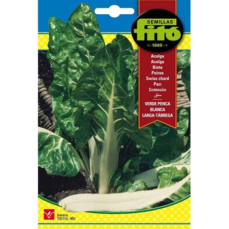Acelga Verde Penca (Semillas) | El Huerto Deitana ®