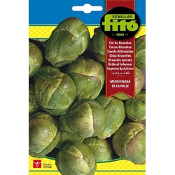 Col de Bruselas (Semillas) | El Huerto Deitana ®