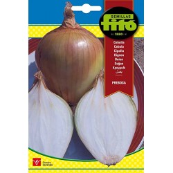 copy of SEMILLAS G-CALABAZA WALTHAM