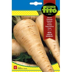 copy of SEMILLAS G-PIMIENTO MAOR