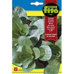 Canónigos (Semillas) | El Huerto Deitana ® Canónigos (Semillas) | El Huerto Deitana ®
