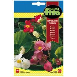 copy of SEMILLAS G-PIMIENTO MAOR