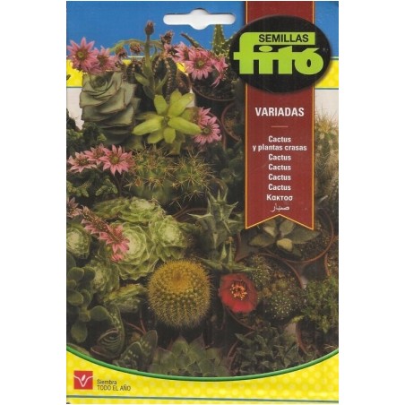 Cactus y Plantas Crasas (Semillas) | El Huerto Deitana ®