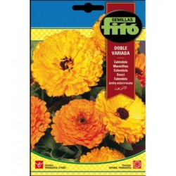 VARIED DOUBLE S-CALENDULA