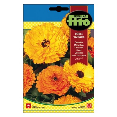 VARIED DOUBLE S-CALENDULA