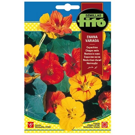 Capuchina Enana Variada (Semillas) | El Huerto Deitana ®