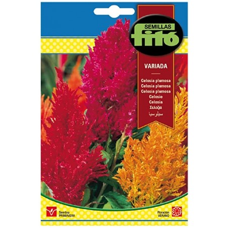 Celosía Plumosa Variada (Semillas) | El Huerto Deitana ®