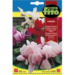 copy of SEMILLAS G-PIMIENTO MAOR