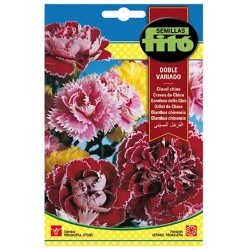 copy of SEMILLAS G-PIMIENTO MAOR