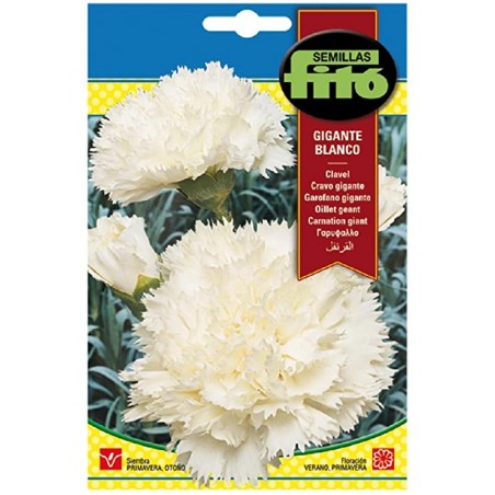 Clavel gigante blanco (Semillas) | El Huerto Deitana ®