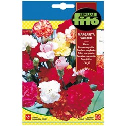 copy of SEMILLAS G-PIMIENTO MAOR