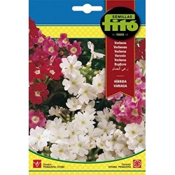Verbena hibrida variada (Semillas) | El Huerto Deitana ®