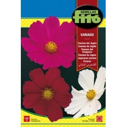 S-COSMOS OF THE VARIED JAPANESE