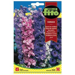 copy of SEMILLAS G-PIMIENTO MAOR