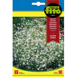 copy of SEMILLAS G-PIMIENTO MAOR