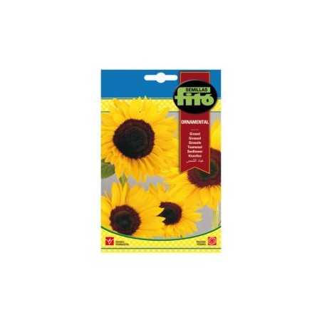 ORNAMENTAL S-SUNFLOWER