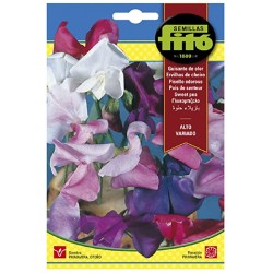 copy of SEMILLAS G-PIMIENTO MAOR