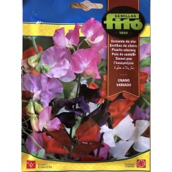 S-PEA WITH VARIED DWARF ODOR