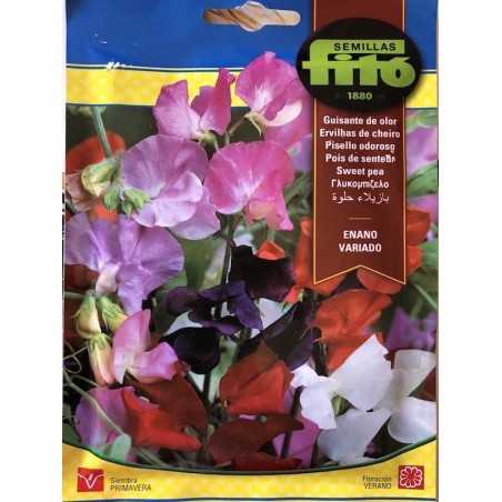 S-PEA WITH VARIED DWARF ODOR