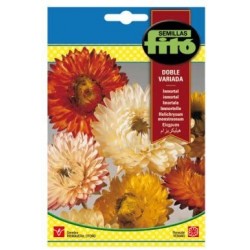 Inmortal flor de papel (Semillas) | El Huerto Deitana ®