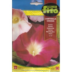 copy of SEMILLAS G-PIMIENTO MAOR