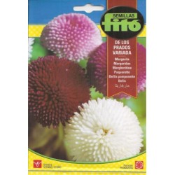 Margarita de los prados variada (Semillas) | El Huerto Deitana ®