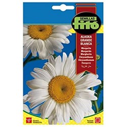 Margarita Grande Alaska Blanca (Semillas) | El Huerto Deitana ®