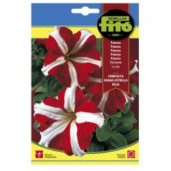 S-PETUNIA RED STAR