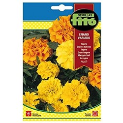 copy of SEMILLAS G-PIMIENTO MAOR