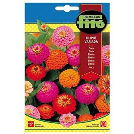 S-ZINNIA LILIPUT VARIED