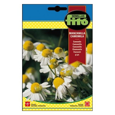 S-CHAMOMILE CAMOMILE