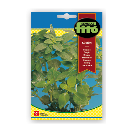 COMMON S-OREGANO