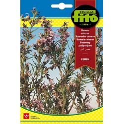 copy of SEMILLAS G-PIMIENTO MAOR