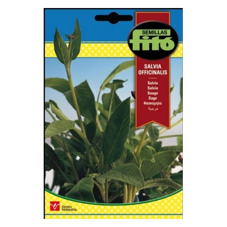 Salvia Officinalis (Semillas) | El Huerto Deitana ®