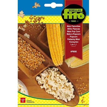 S-MAIZ FOR POPCORN